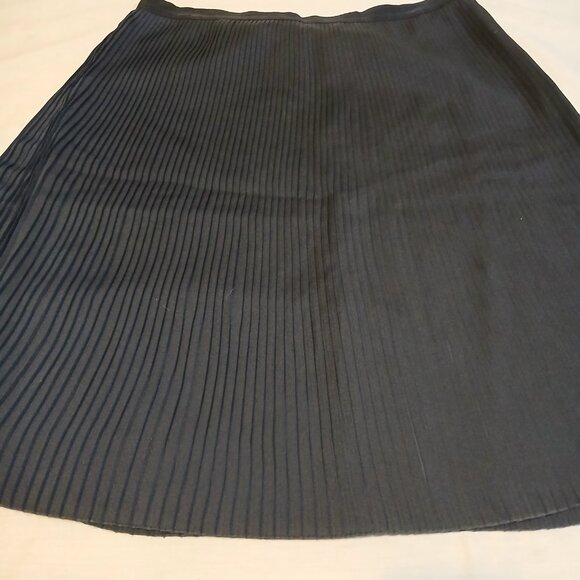 Brooks Brothers Skirt Size 10 Navy Accordion Pleated A-line Mid Length - Picture 8 of 9